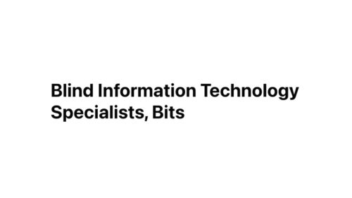 Blind Information Technology Specialists