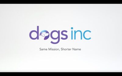 Short Name, Bigger Impact. Meet Dogs Inc.