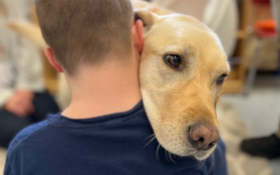 West the Wonder Dog: Transforming Lives One Hug at a Time