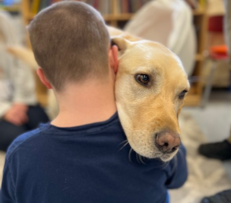 West the Wonder Dog: Transforming Lives One Hug at a Time