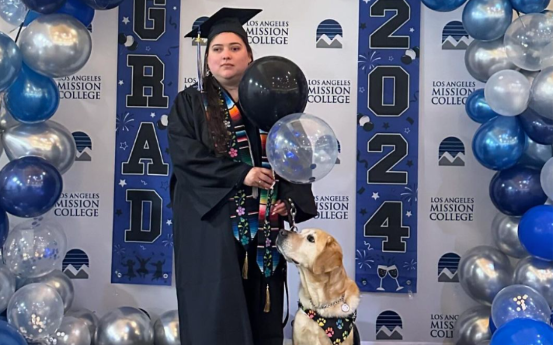 Guiding Light: How My Guide Dog Transformed My College Experience