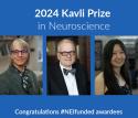 2024 Kavli Prize in Neuroscience awarded for the discovery of ‘face areas’ in the brain