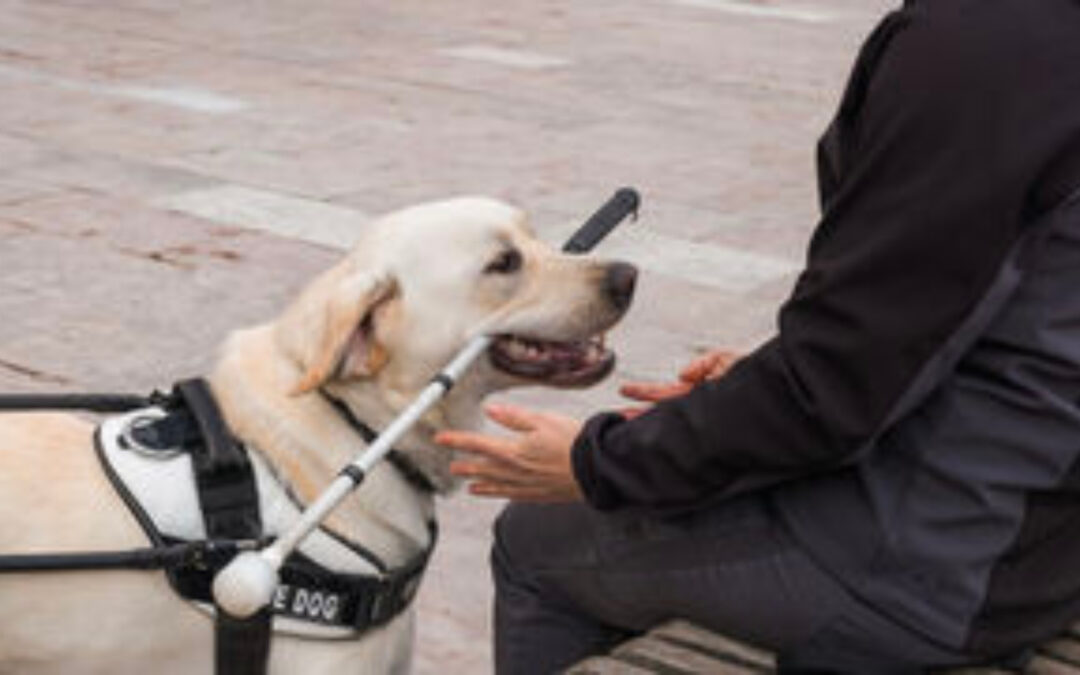 Los Angeles Chapter Event in Partnership with Guide Dogs of America & Braille Institute