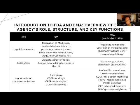 Navigating FDA & EMA Regulations for Retinal Disease Treatments