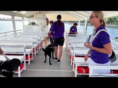 Training on the Gulf Islands Ferry ⛴️