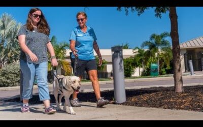 Guide Dog Camp: Best Friends and Freedom