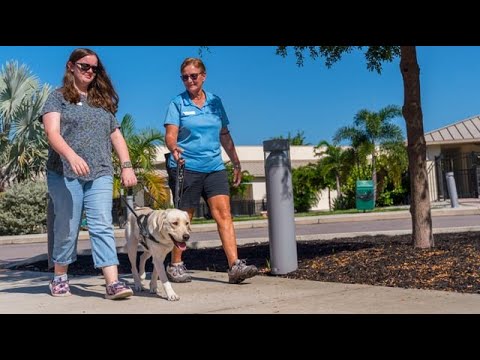 Guide Dog Camp: Best Friends and Freedom