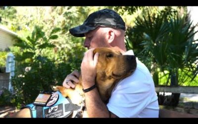 Dogs Inc: The PTSD Battle Can be Won