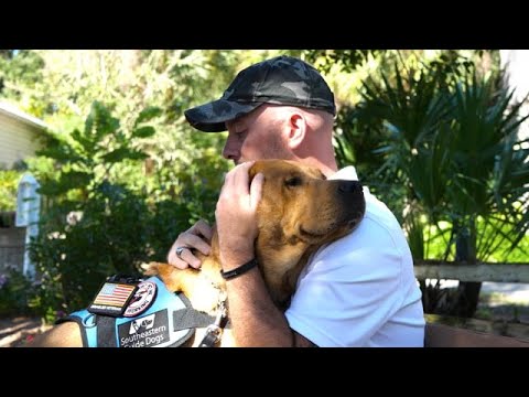 Dogs Inc: The PTSD Battle Can be Won