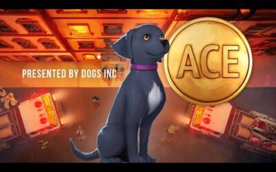 ACE | Dogs Inc