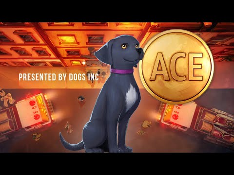 ACE | Dogs Inc