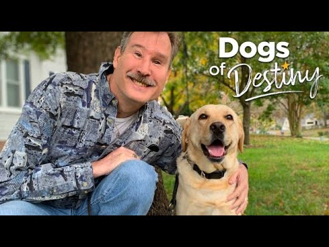 “Ground Control” | Dogs of Destiny