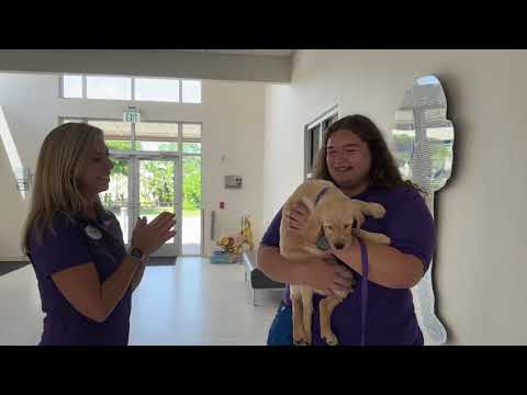 Puppy Raiser Pick Up | Dogs Inc