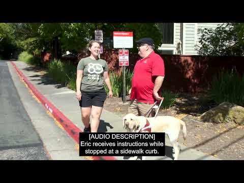 The GDB Client Guide Dog Training Experience