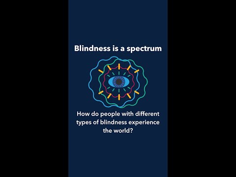 How do people with different types of blindness experience the world?