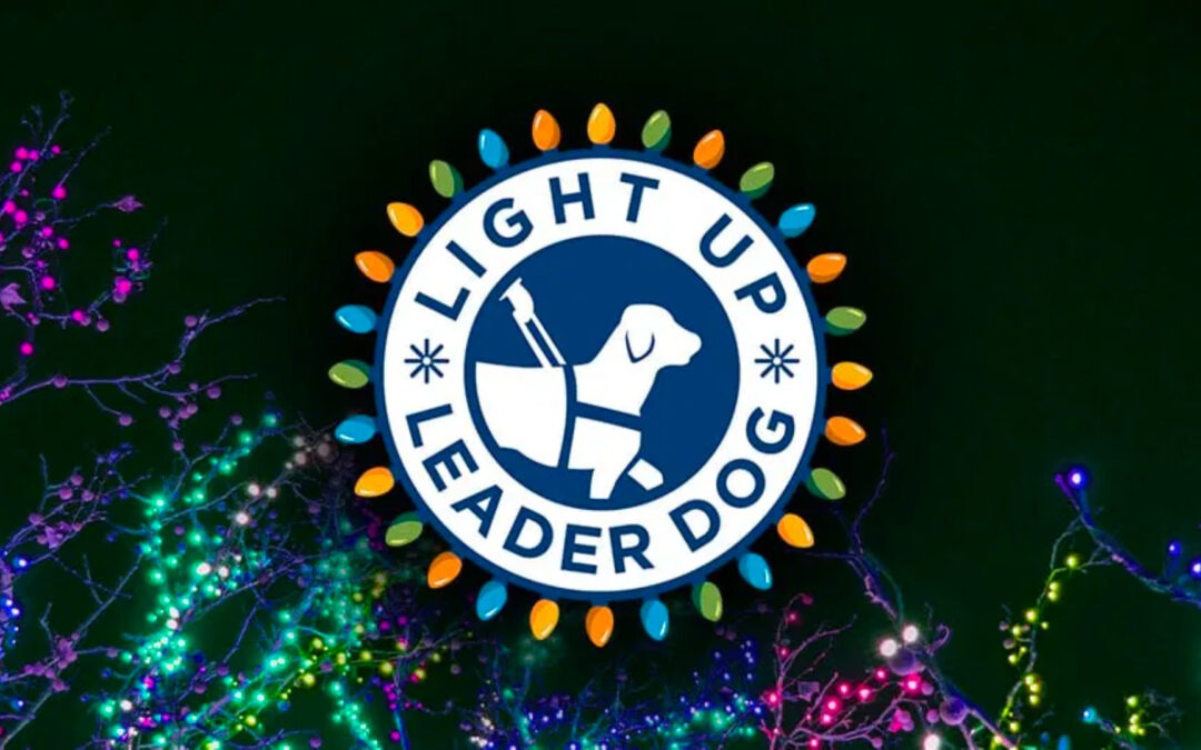 Light Up Leader Dog