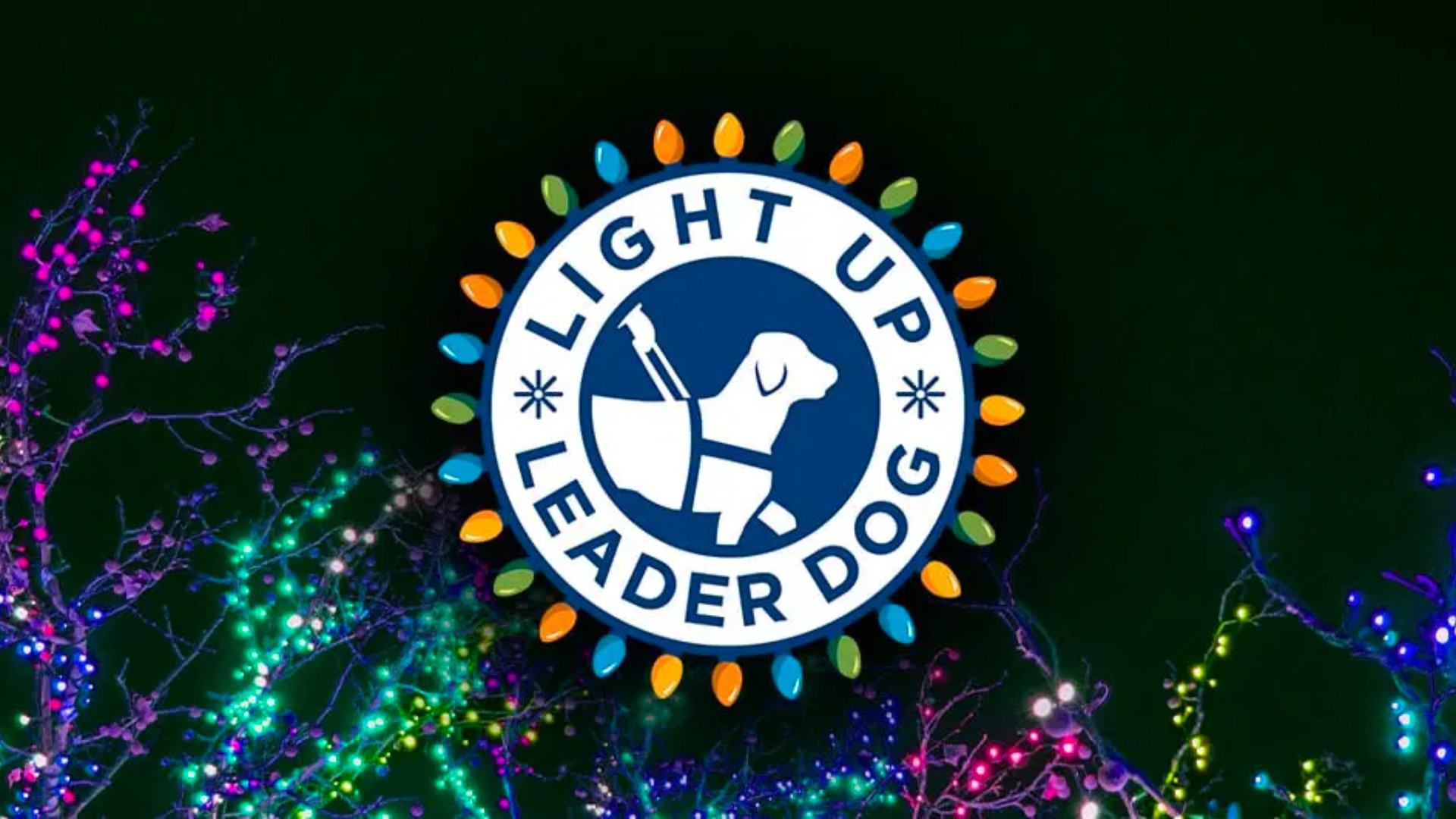 Light Up Leader Dogs