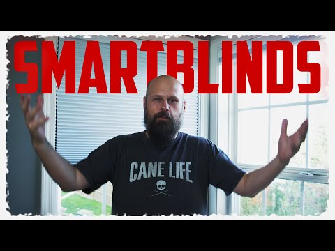 SmartWave Motorized Blinds Review: Accessibility and Automation