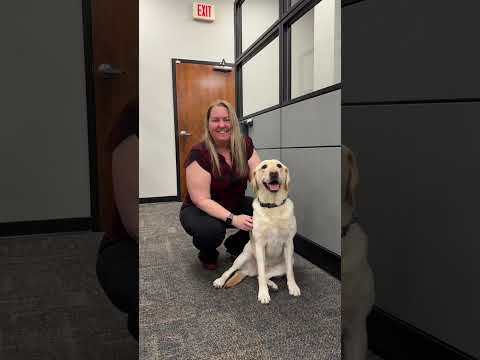 A Day in the life of K9 Laura 🐾 🚨